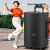Suoai 12-inch Portable Outdoor Bluetooth KTV Speaker with Dual Mics