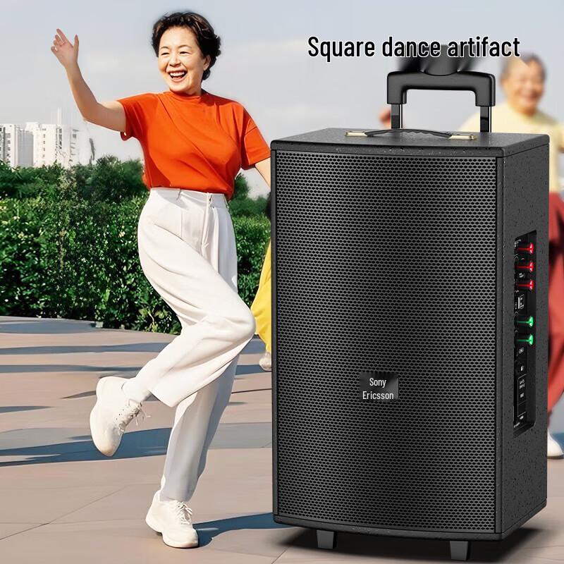 Suoai 12-inch Portable Outdoor Bluetooth KTV Speaker with Dual Mics CN plug (adapter included)