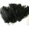 10Pcs 15-20cm Ostrich Feathers Plume Craft Centerpiece Wedding Party Decor Black
