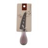 Stainless Steel Titanium-Plated Cheese Knife Set - Includes Cheese Knife, Fork, and Spatula.