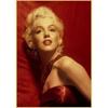 Famous actress  Vintage Posters For Home/Bar/Living Decor kraft Paper high quality poster wall sticker