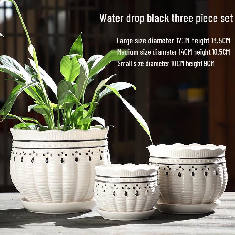 Creative Ceramic Pothos Planter