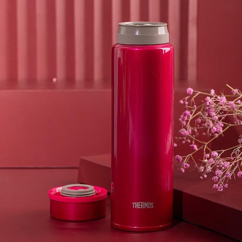 Thermos Simple Portable Insulated Water Bottle