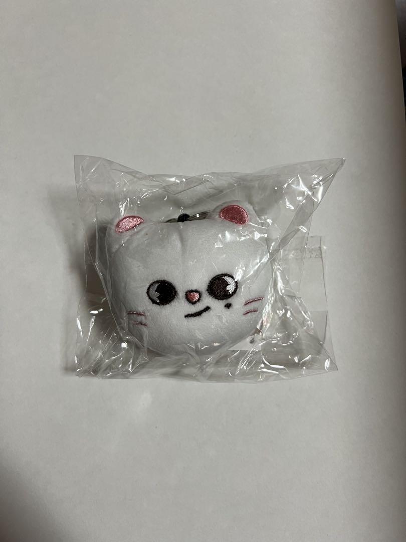 

[Б/У] Мини брелок для лица SKZOO Ginillet