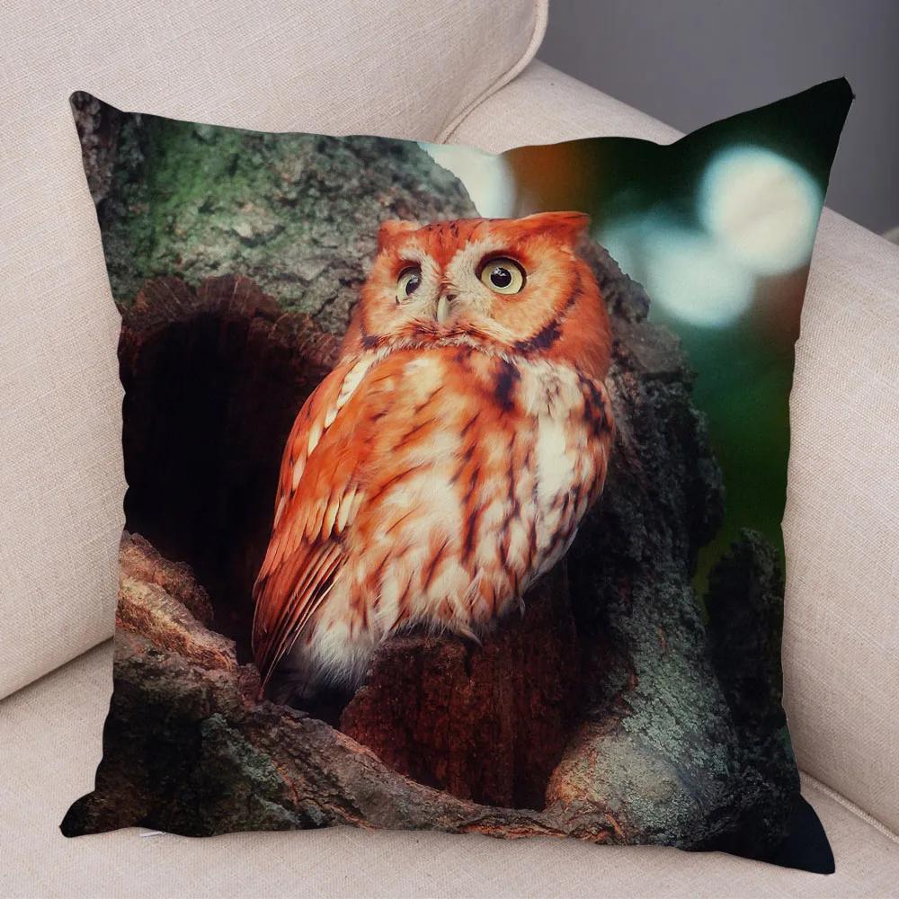 Cute Animal Pillowcase Wild Owl Cushion Cover Decorative Sofa Home Children's Room