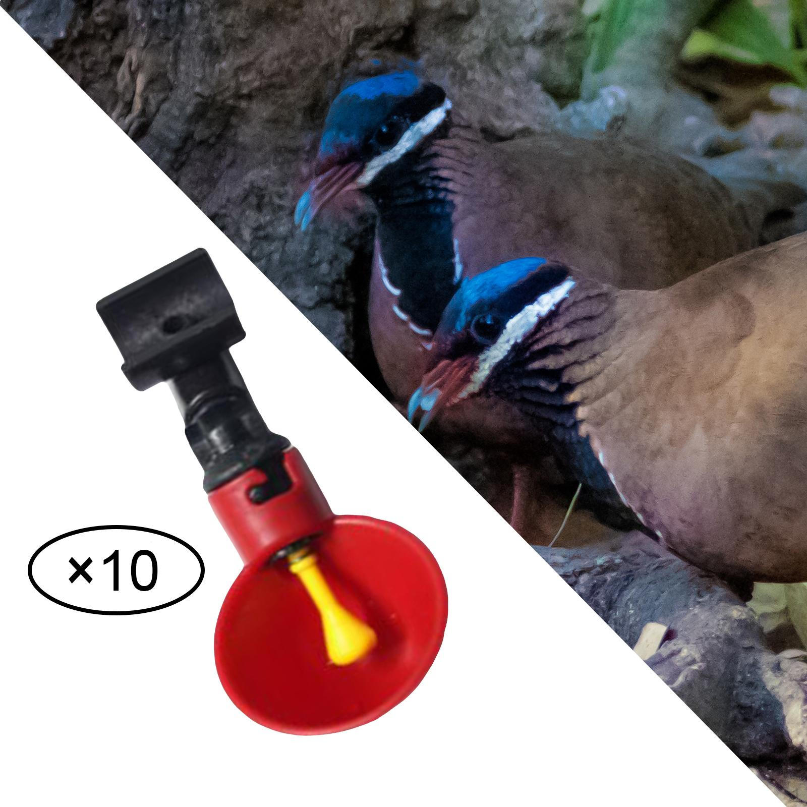 

2x5 шт. Чашки-поилки для птицы для курицы, автоматическая поилка 6,6x10 см, многоцветные,