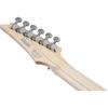 IBANEZ (Ibanez) Electric Guitar J-LINE White Flat RG6HSHMTR-WHF