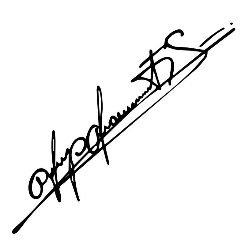 Personalized For Car Sticker Schumacher Art Signature Lamp Eyebrows Die-Cut Auto Parts Decoration Vinyl Decals 30X13CM чёрный