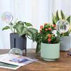 Automatic Watering System Self Watering Device Glass Bulbs Plant Watering Globes Drip Irrigation for Potted Plants Garden Flower