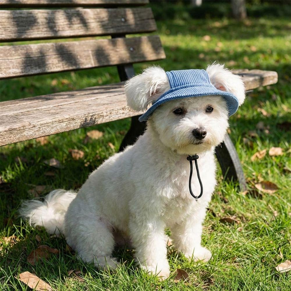 Exposed Ears Dog Fisherman Hat Breathable Pet Sun Hat Cute Dog Sunscreen Hat Outdoor