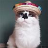 Colorful Cat Dog Supplies Sombrero Mexican Straw Cap Pet Straw Hat Pet Ornaments