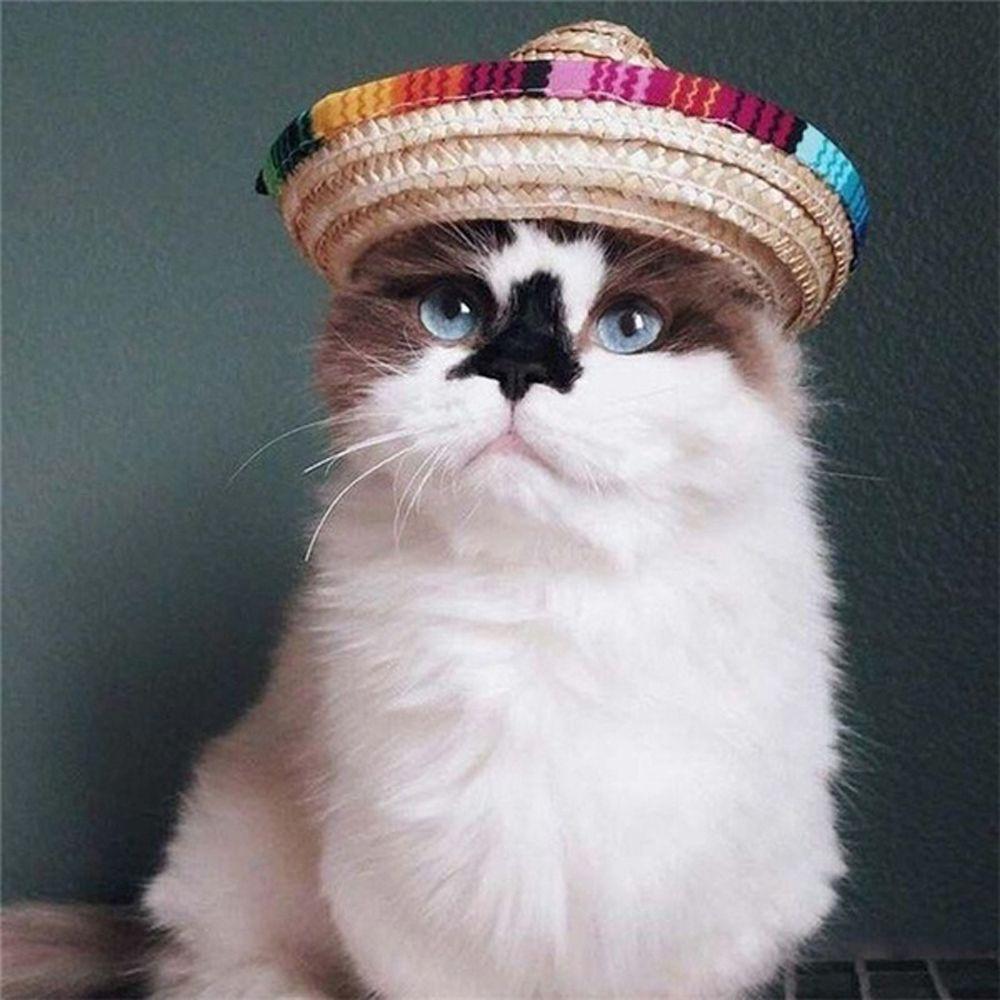 Colorful Cat Dog Supplies Sombrero Mexican Straw Cap Pet Straw Hat Pet Ornaments