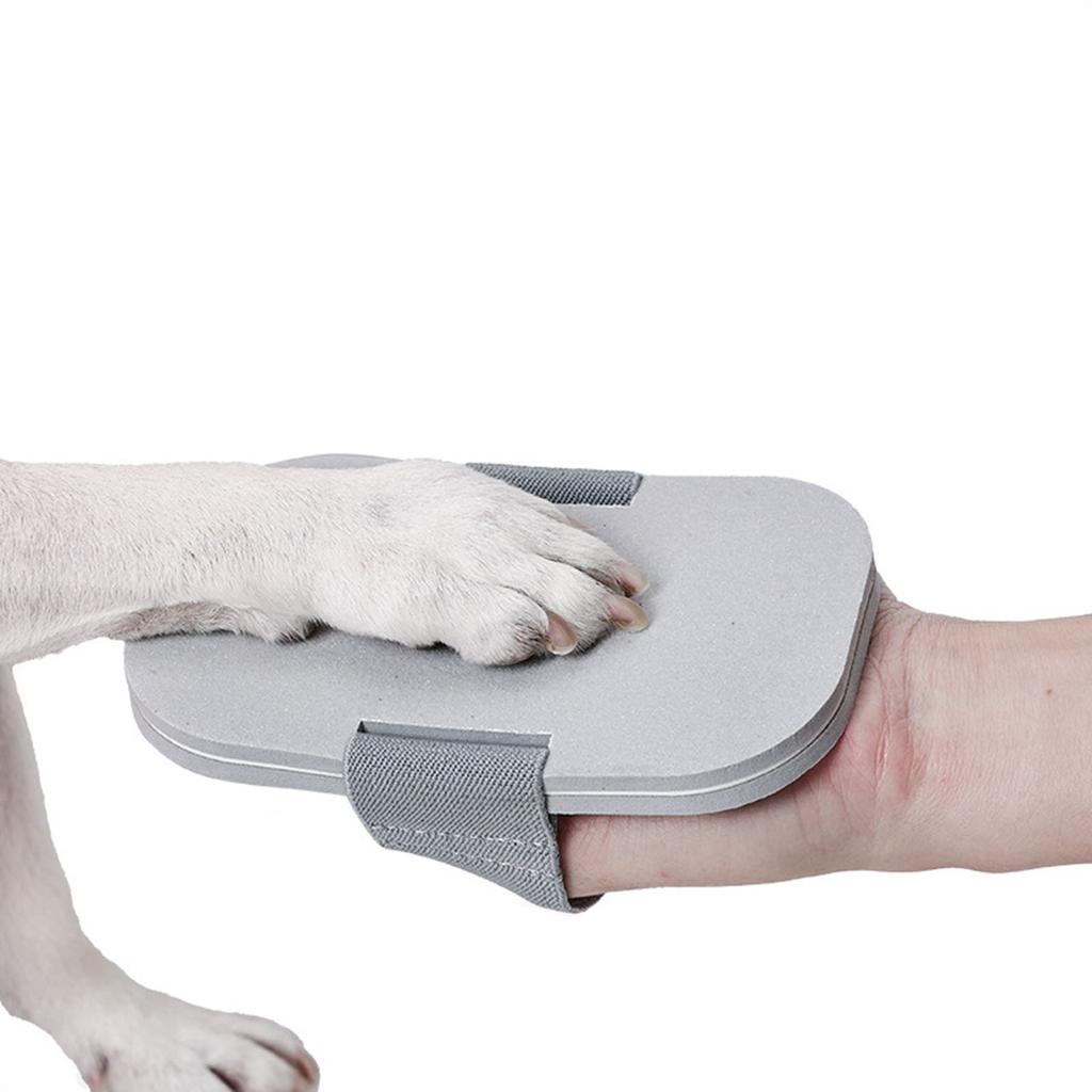 Effizientes Hunde-Kratzbrett für die Haustierpflege Hunde-Schleifpad Stressfreie Katzen-Nagelfeile Nagelpflegezubehör