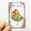Floraneum Lenormand Tarot Oracle 9*6cm Illustrations Ornées de Décor Fleuri 36 Cartes
