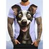 Herrkläder Ny T-shirt Humor Hund 3D-tryckt Kortärmad T-shirt Sommar Utomhusmode Herr T-shirt Överdimensionerade Herrkläder