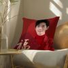 Sean Xiao Zhan Actor Pillow Case Double-Sided Plush Sofa Cushion Covers Organic Breathable Invisible Zipper