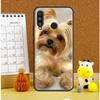 Yorkshire Terrier Dog For Huawei Nova Y72 Y70 Y91 Y90 Y60 Y61 Y73 3i 7i 8i 11i 12i 9 10 SE P20 P30 P40 Lite Case