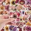 50 Sheets Waterproof Dried Flower Stickers for Water Bottles and Computers - Creative DIY Floral Decals