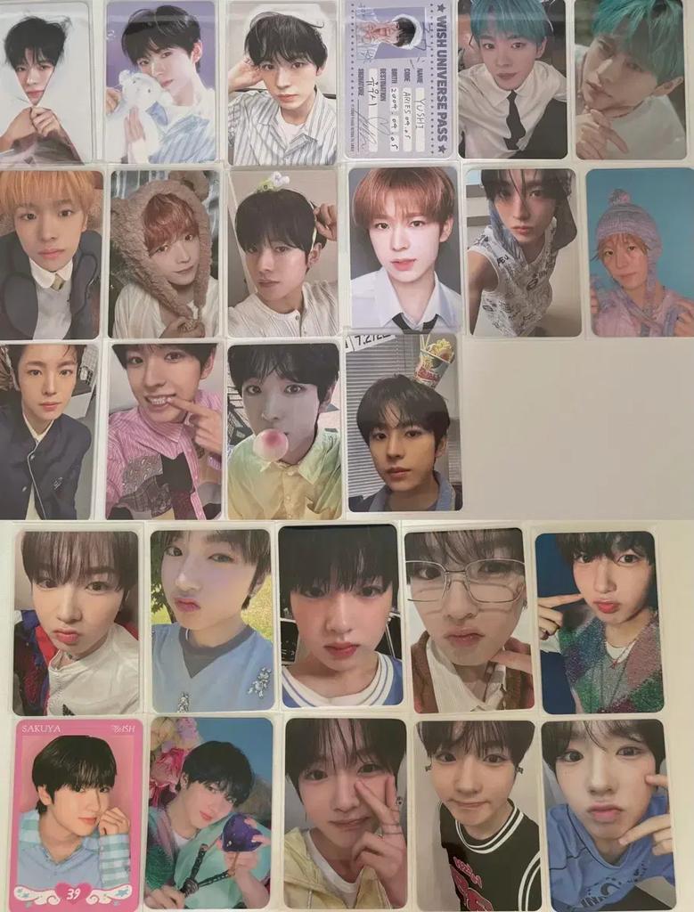 NCT Wish Yushi Sakuya Poka Großverkauf und Übertragung Gebraucht