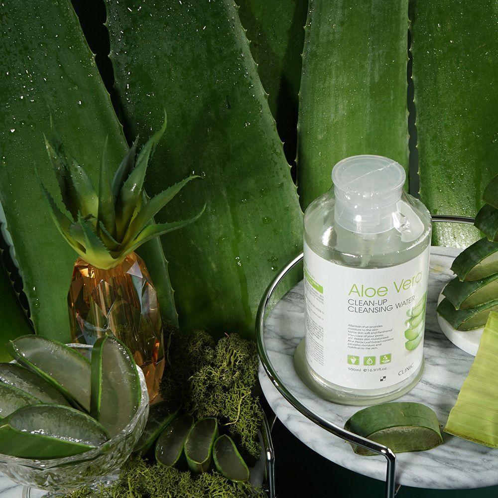 Moisturizing HBRJPYTI Moisturizing Mugwort Leaf Extract Cleansing Water 500ml