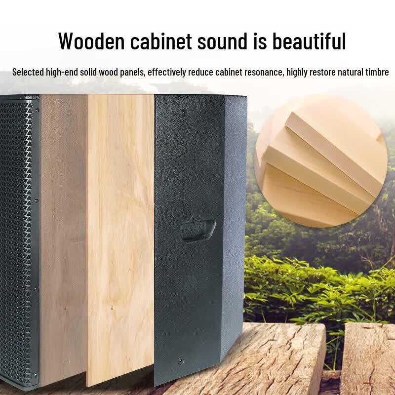 HuiDu TP-215 Professional Dual 15-inch Conference Speaker (CN version)
