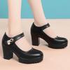 Fashion Round Toe Spring & Autumn Women High Heel Shoes for Office Lady Classic Comfort High Quality Stylish Platform Pumps