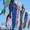 40-95Cm Japanese Carp Flag Windsock Streamer Traditional Hanging Fish Flag Kite Wind Socks Home Garden Festival Carp Decoration