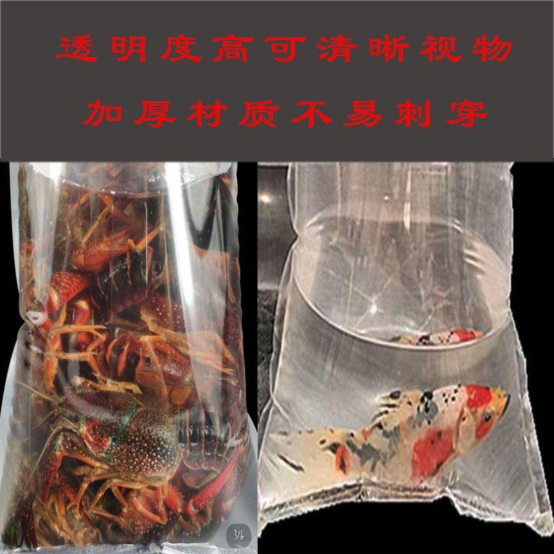 50pcs Ornamental Fish and Shrimp Live Oxygenation Bag Packaging Bags Live Fish Seafood Transporting Thickening Inflatable Bags