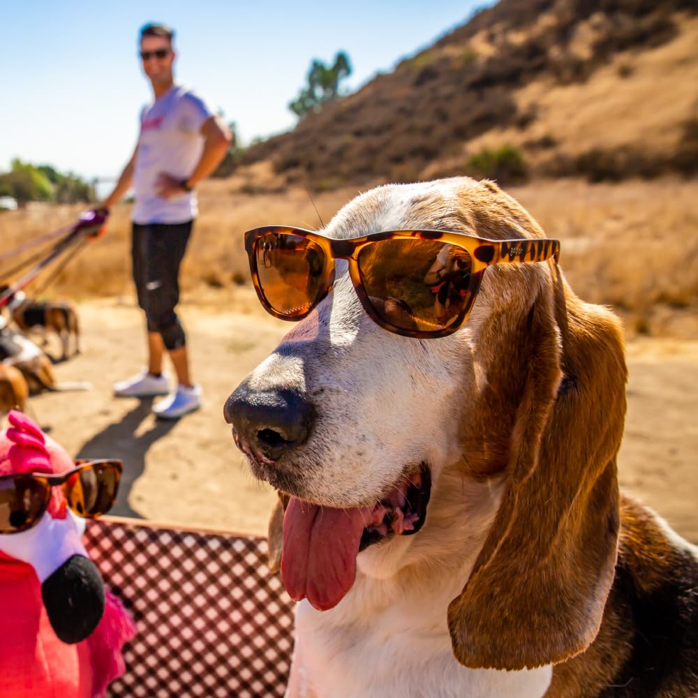 Goodr OG Series UV and Mirrored for Men and Perfect for Mountain and Outdoor Activities Basset Hound [goodr] Sunglasses, Lightweight, Polarized,