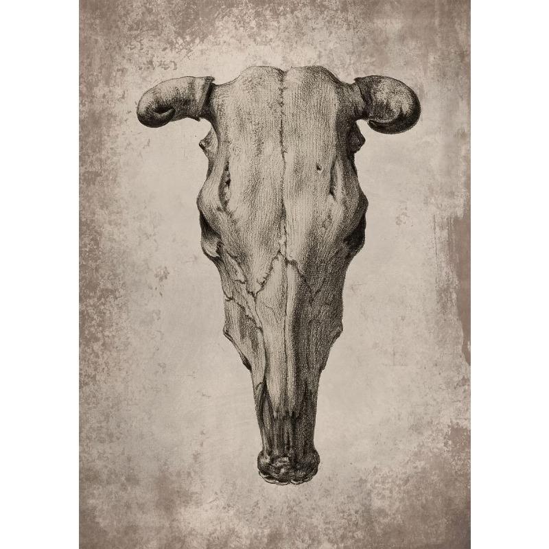 Classic Retro Mysterious Fossil Skeleton Dinosaur Art Poster Canvas Print Wall Art Pictures Living Room Bedroom Home Decoration