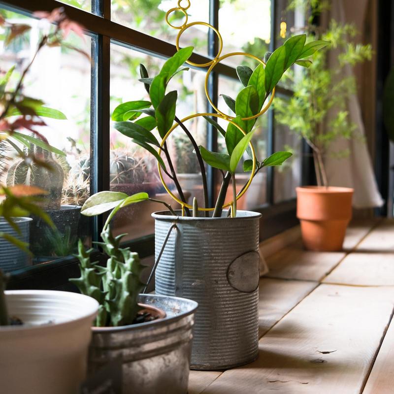 Rankgitter für Topfpflanzen Innen Klein Stapelbar Metalldraht Zimmerpflanzen Rankgitter für Kletterpflanzen Stütze