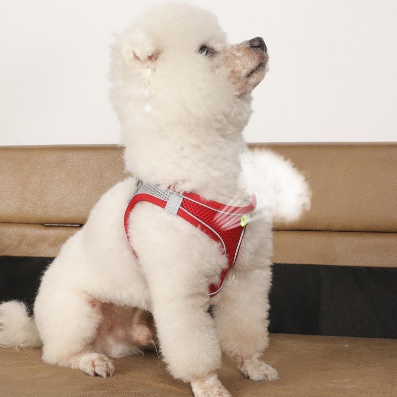 Dog Harness Leash Set for Small Dogs Adjustable Puppy Cat Harness Vest French Bulldog Chihuahua Pug Outdoor Walking Lead Leash