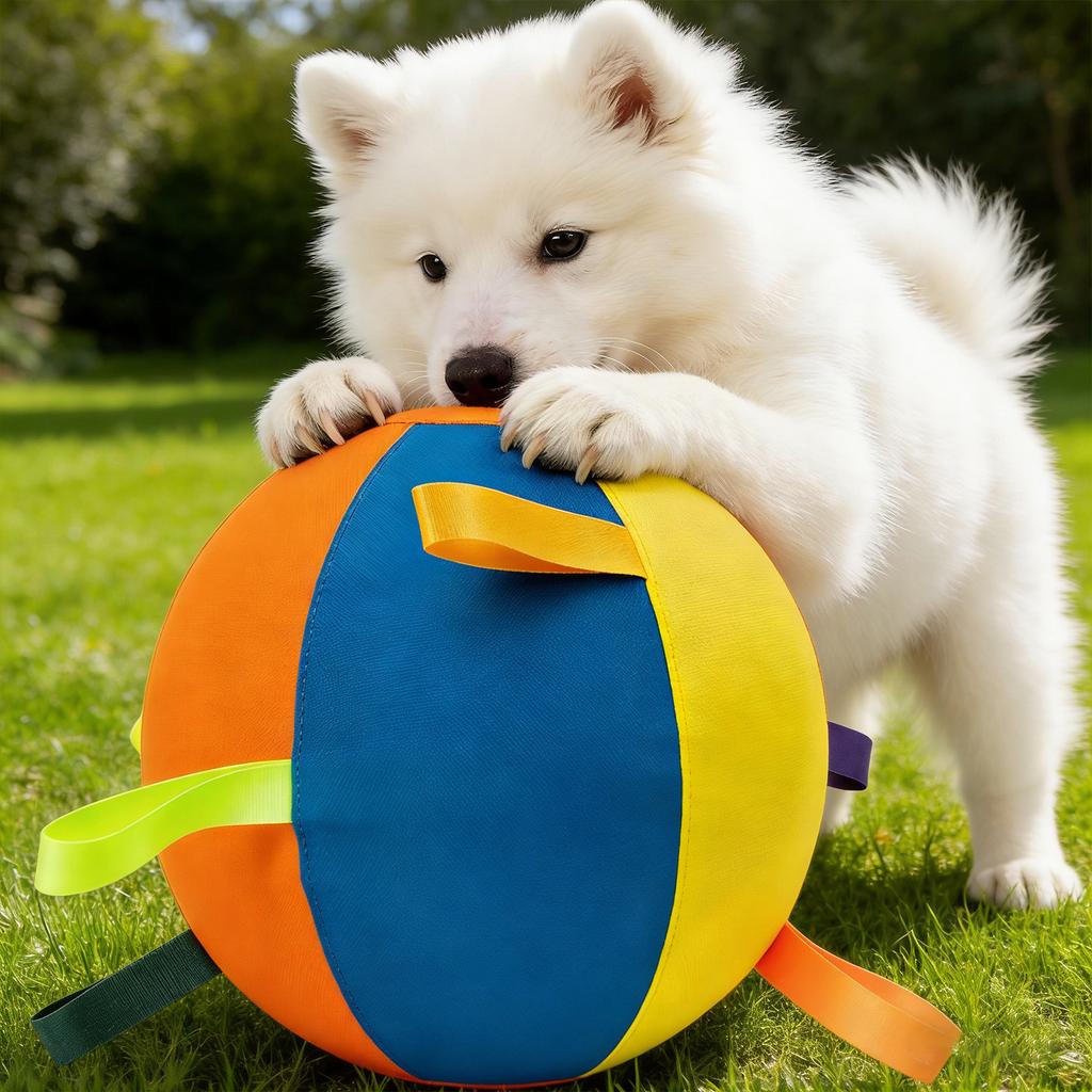 Herding Ball for Dogs with Protective Cover & Pump Jolly Ball To Keep Them Busy for Shepherds Border Collies
