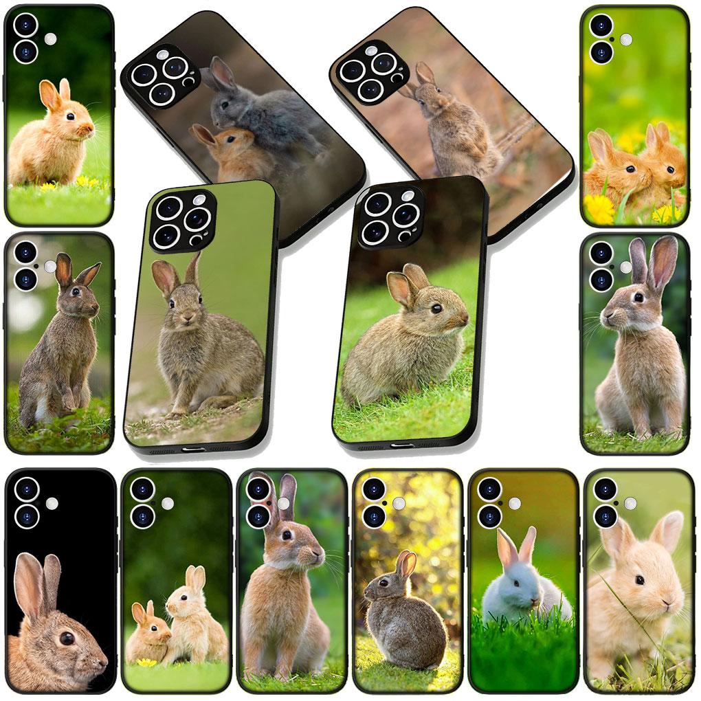 Phone Cover for Samsung Galaxy S25 S24 S23 FE Plus Ultra S7 Edge A16 A15 5G S25+ Casing Flexible Case Rabbit