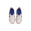 Nike Team Hustle D10 GS White Game Royal Kids Sneakers Summit-White Bright-Crimson Midnight-Navy CW6735-103