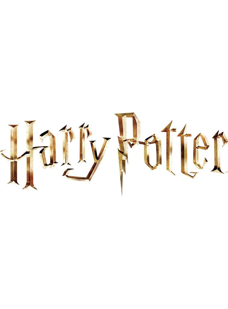 Enesco Hermione & Light-Up Patronus 6009883