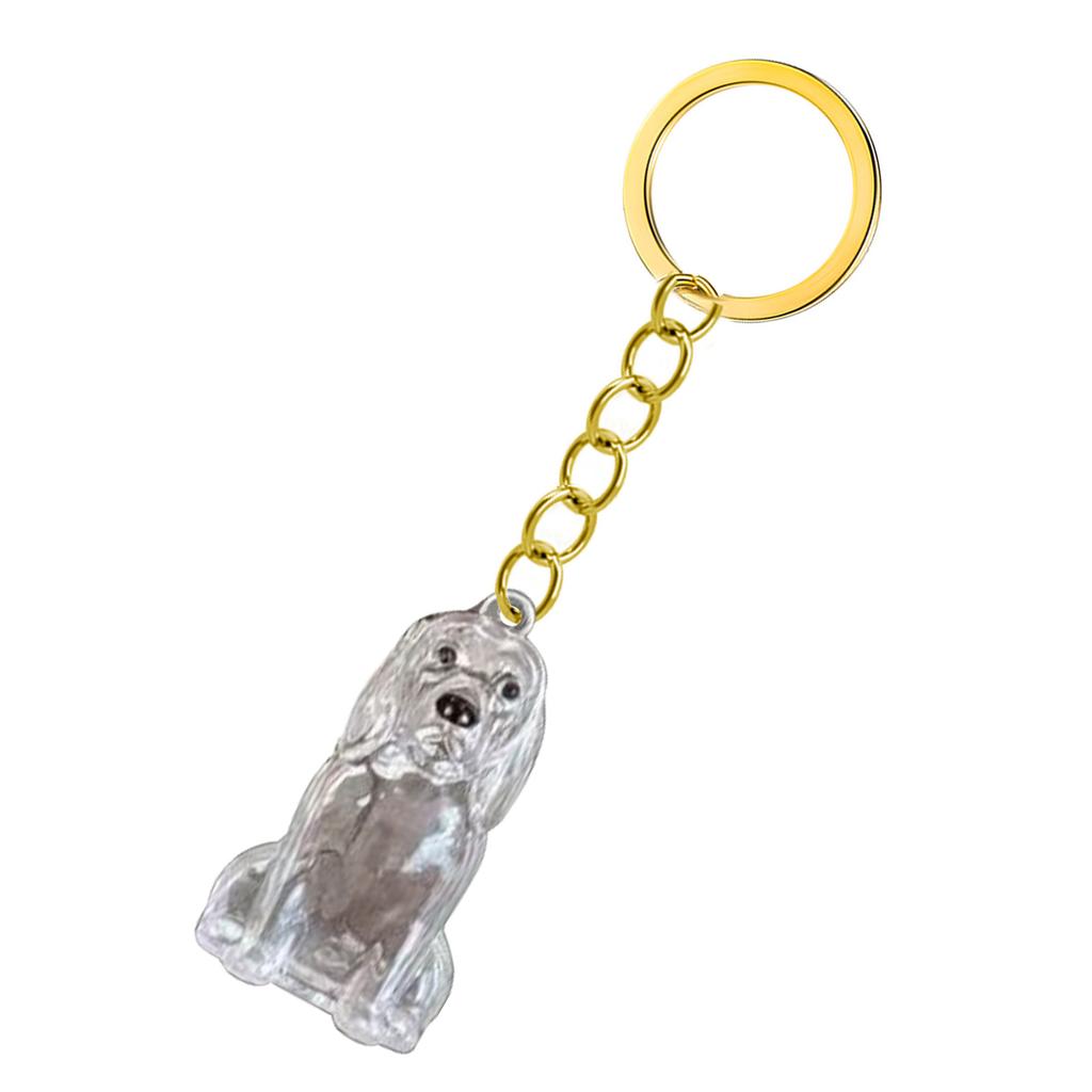 Transparent Pet Memorial Keychain Pet Hair Bottle For Preserving Dog Hair And Ashes In A Leakproof Keepsake Capsule