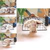 Super Soft Stuffed Bunny Keychain Adorable Plush Bag Charm Animal Toy