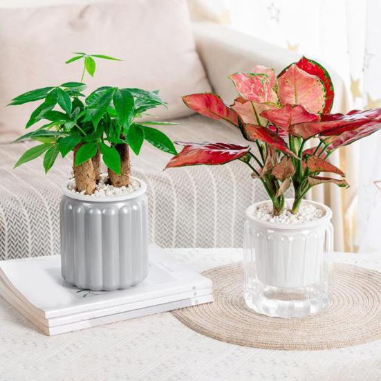 Self Watering Planter Plastic Plant Pot with Inner Pot Modern Decorative Flower Pot for All House Plants Flowers Herbs African Violets