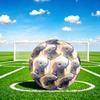 1pc Elephant Flowers Theme Soccer Ball Football, Size 5, Lightweight PVC, Outdoor Training Soccer Ball,Gift C6529