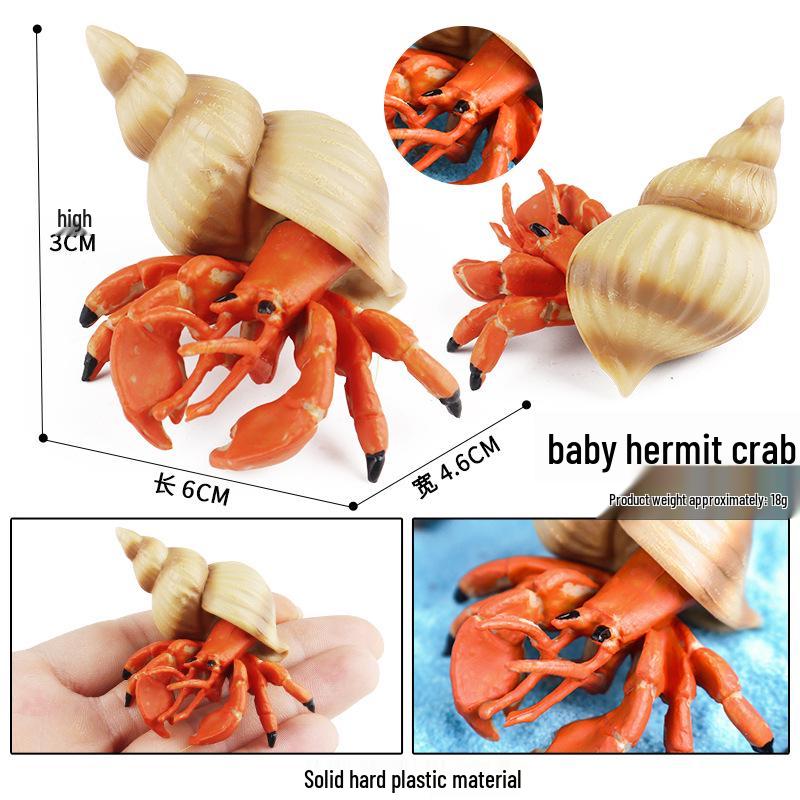 Ancient Marine Life Model: Trilobite, Eurypterid, Pikaia, Sea Scorpion, Nautilus Toy