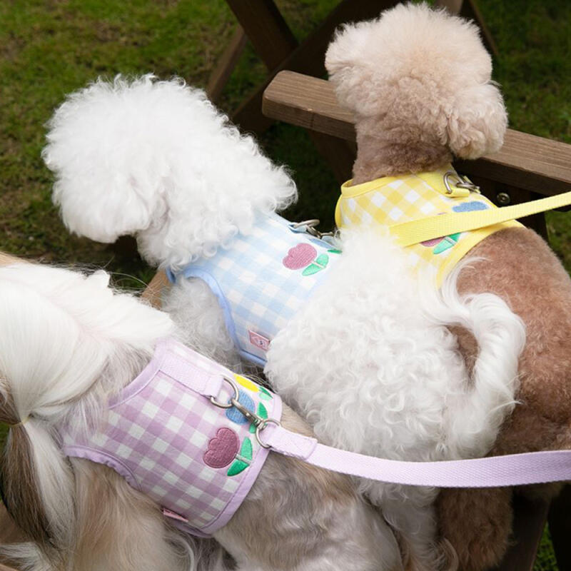 Bowdog Tulip Harness + Leash Set Dog Walking Supplies