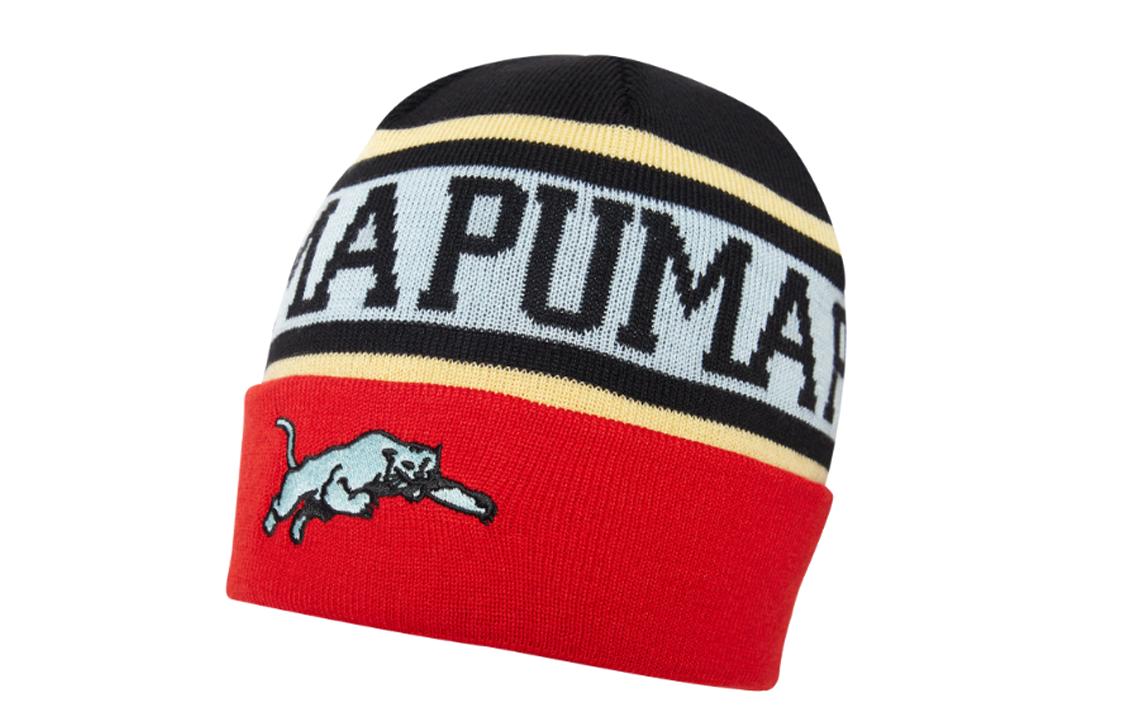 PUMA Color Block Polyester Beanies Unisex 023570-01 F