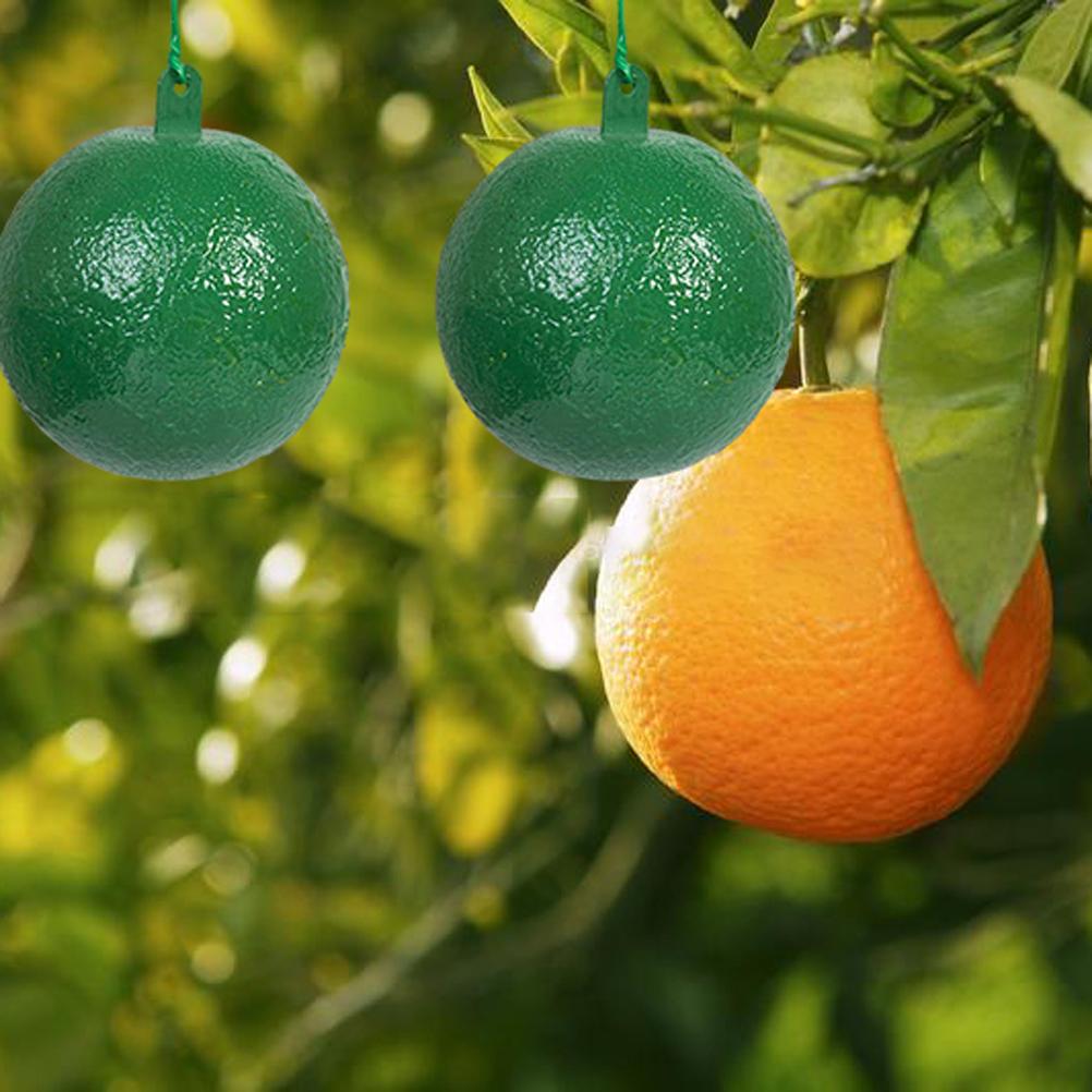 10Pcs Fruit Fly Trap with Sticky Gnat Killer Fruit Fly Traps Effective Fly Catcher Insect Trap for