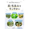 Domestic Organic Loa-Pet Pet Shampoo Low Irritation Additive-Free Made Japan Recommended Groomers 400ml