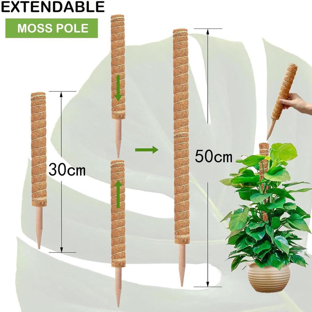 Coconut Palm Stick for Indoor Climbing Plants: Ideal for Potted Greenery and Vines