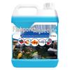 Green Algae and Moss Remover for Fish Ponds and Tanks – Cleans Green, Blue, and Brown Algae and Duckweed