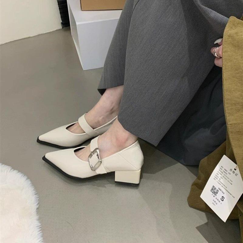 New Spring Retro Women's High-Heeled Shoes Mid Heels Pointed Toe Party Shoes Women Luxury Mary Jane Shoes Zapatos Mujer