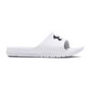Slides White