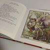 [USED] Foreign Books A Flower Fairies Alphabet Fairy